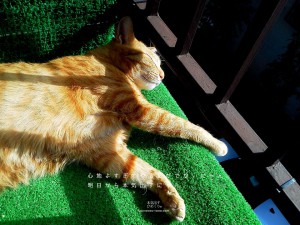 20130321_本気出す日めくり