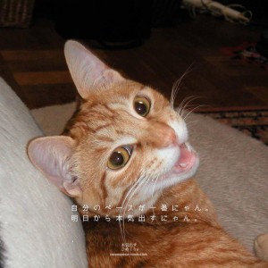 20130416_本気出す日めくり