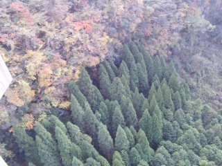 五ヶ瀬町三ヶ所川