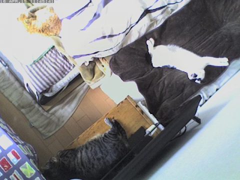 やっぱり暑い？