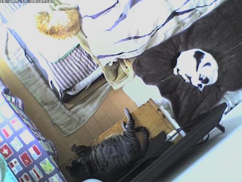 今日は暑いかな