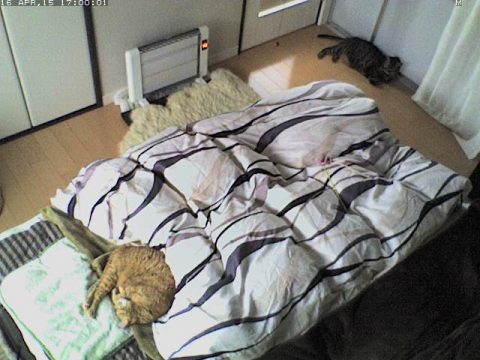 ヒーター不要？