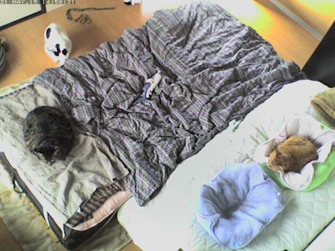 mark 気づいた！