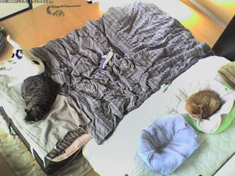 くつろいでます