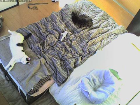 これでまったり