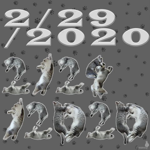 2/29/2020 ねこ文字