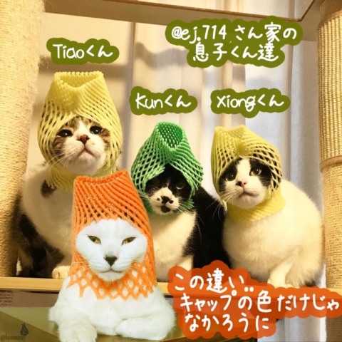 from Instagram width=