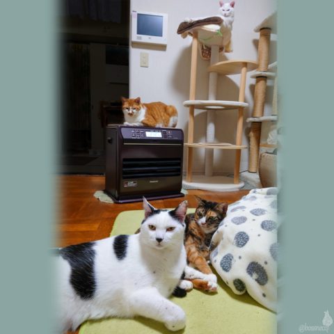 coco & fumi & Lin & Ryu