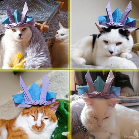 coco & fumi & Lin & Ryu