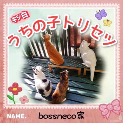 うちの子トリセツ