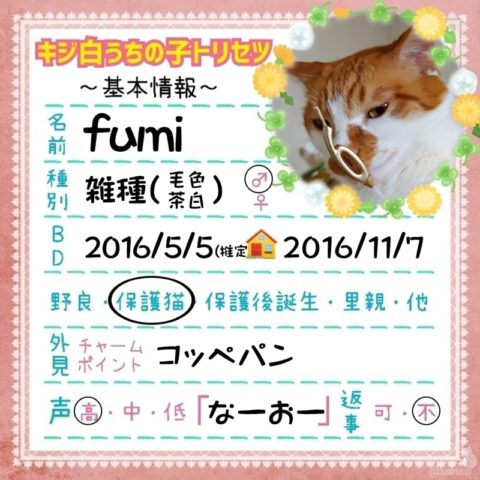 fumi