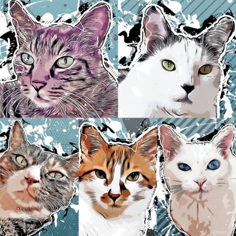 mark & coco & fumi & Lin & Ryu