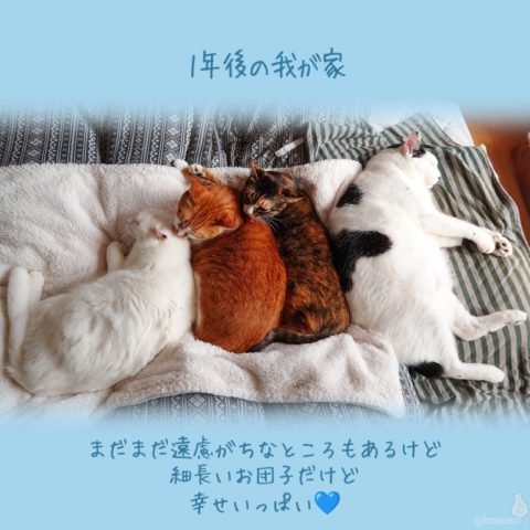 coco & fumi & Lin & Ryu