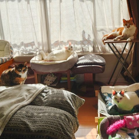 coco & fumi & Lin & Ryu