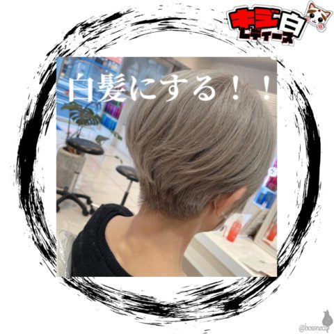 キジ白レディース