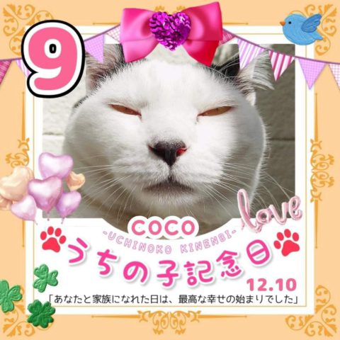 coco