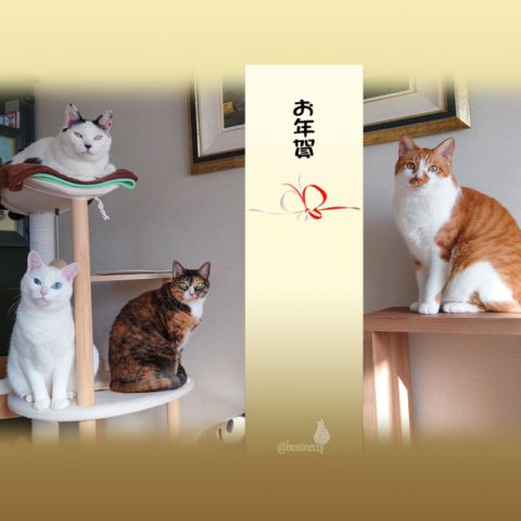 coco & fumi & Lin & Ryu