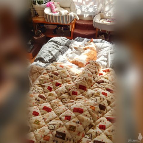 coco & fumi & Lin & Ryu