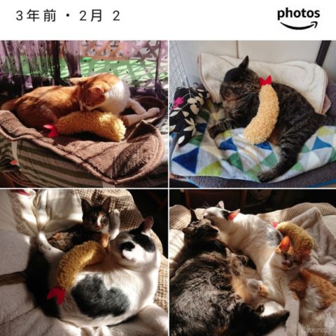 mark & coco & fumi & Lin