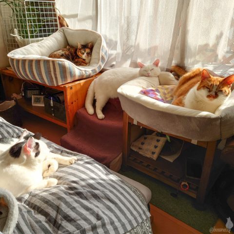 coco & fumi & Lin & Ryu