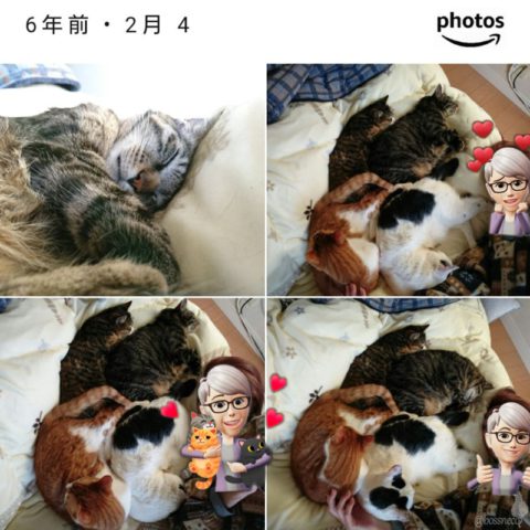 mark & coco & fumi & Lin