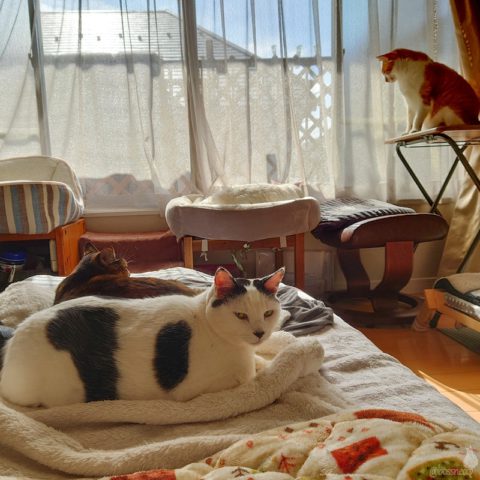 coco & fumi & Lin & Ryu