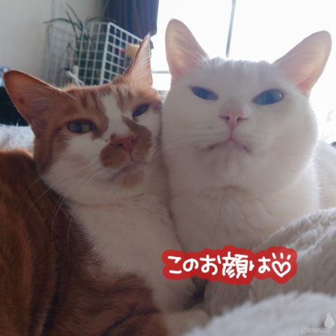 fumi & Ryu