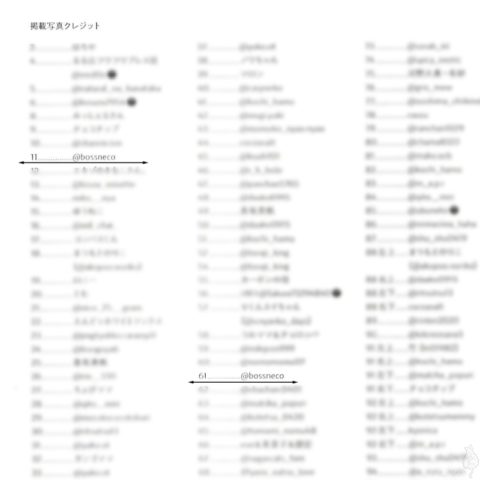 猫で奇跡の一枚写真集