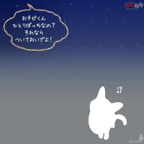 白猫ストーリー