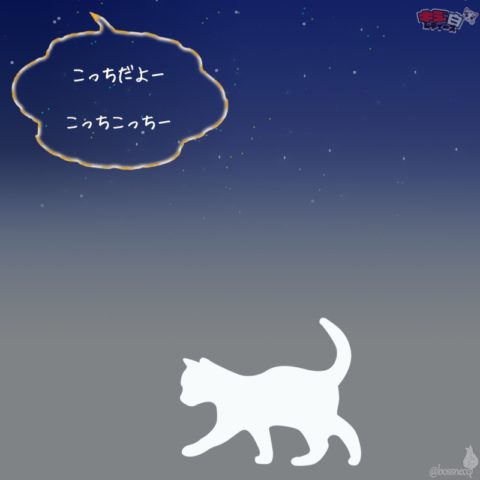 白猫ストーリー