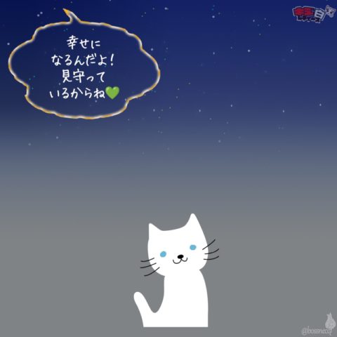 白猫ストーリー