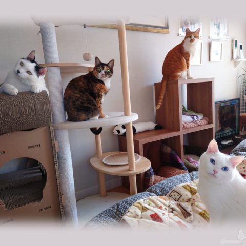 coco & fumi & Lin & Ryu